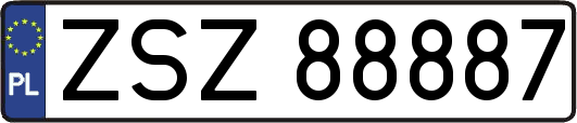 ZSZ88887