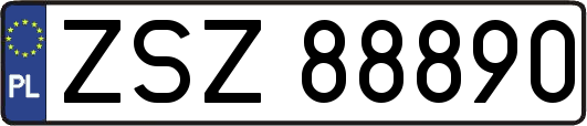 ZSZ88890