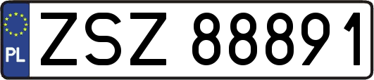 ZSZ88891