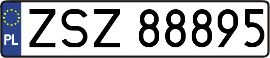 ZSZ88895