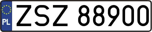 ZSZ88900