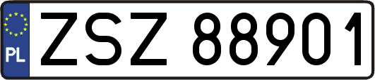 ZSZ88901
