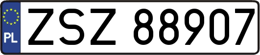 ZSZ88907