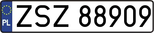 ZSZ88909
