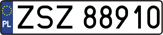 ZSZ88910