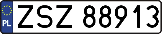 ZSZ88913