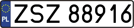 ZSZ88916
