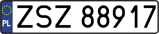 ZSZ88917