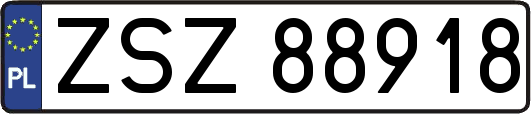 ZSZ88918