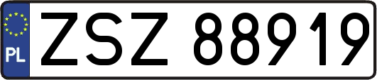 ZSZ88919