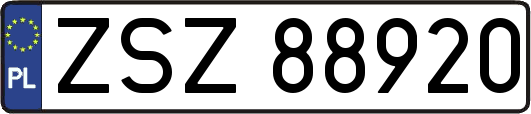 ZSZ88920