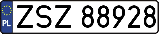 ZSZ88928