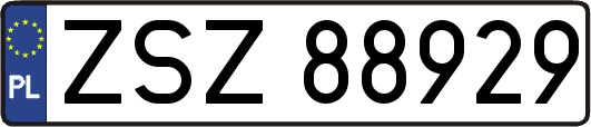 ZSZ88929
