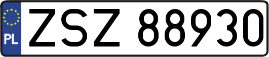 ZSZ88930