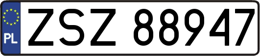 ZSZ88947