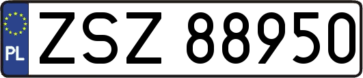 ZSZ88950