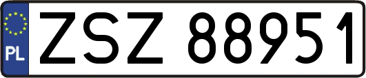 ZSZ88951