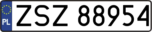 ZSZ88954