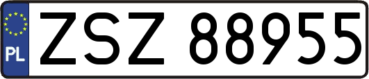 ZSZ88955