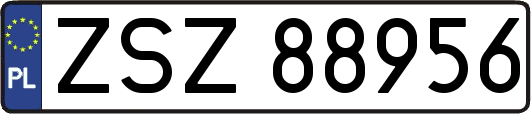 ZSZ88956