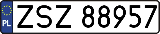 ZSZ88957