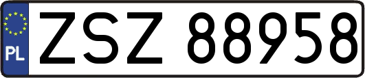 ZSZ88958