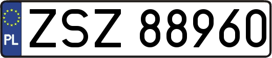 ZSZ88960