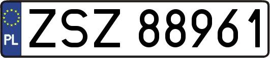 ZSZ88961