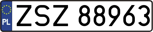 ZSZ88963