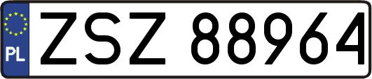 ZSZ88964
