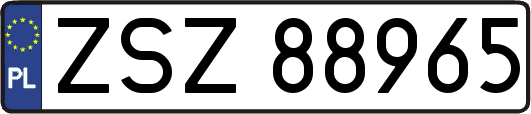 ZSZ88965