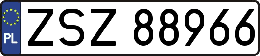 ZSZ88966
