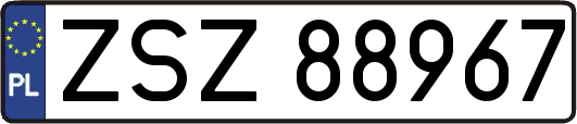 ZSZ88967