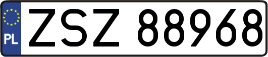 ZSZ88968