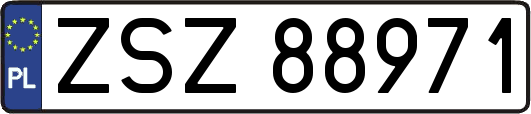 ZSZ88971
