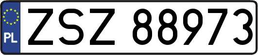 ZSZ88973