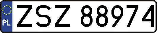 ZSZ88974