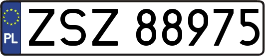 ZSZ88975