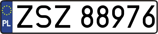ZSZ88976