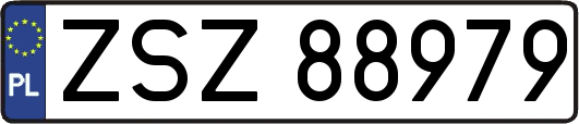 ZSZ88979
