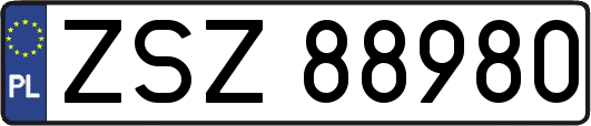 ZSZ88980