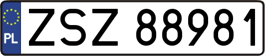 ZSZ88981