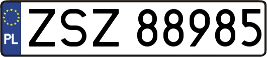 ZSZ88985
