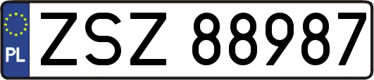 ZSZ88987