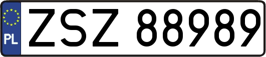 ZSZ88989