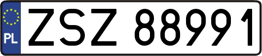 ZSZ88991