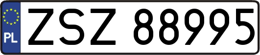 ZSZ88995