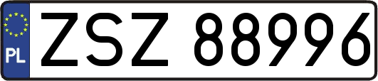 ZSZ88996