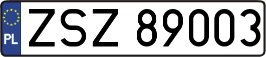 ZSZ89003