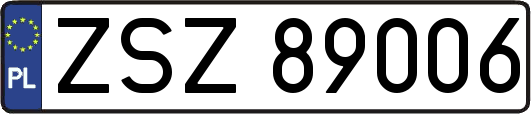 ZSZ89006